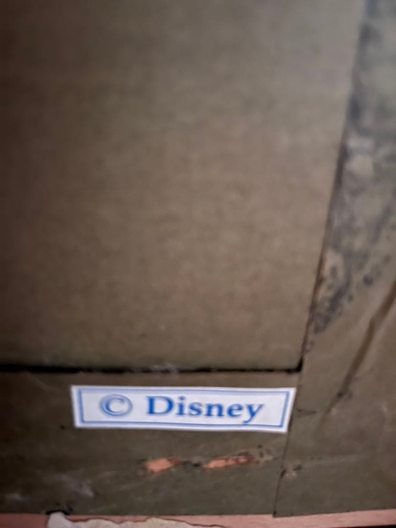 ディズニーVillains ポスター額入り