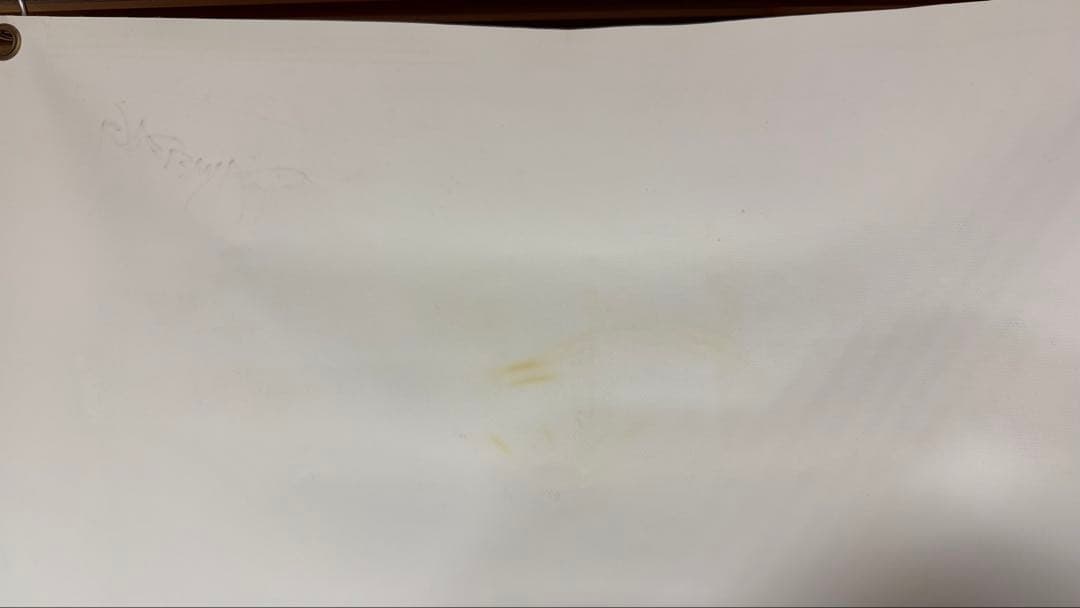 【超希少】非売品直筆サイン入りダイムバックダレル 大型ビニールポスター