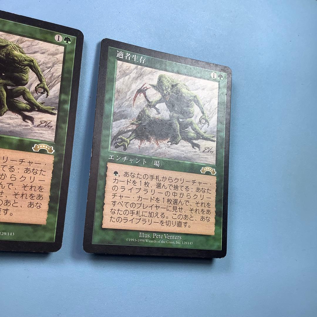 *バラ売り可* 適者生存　 EXO日本語2枚セット