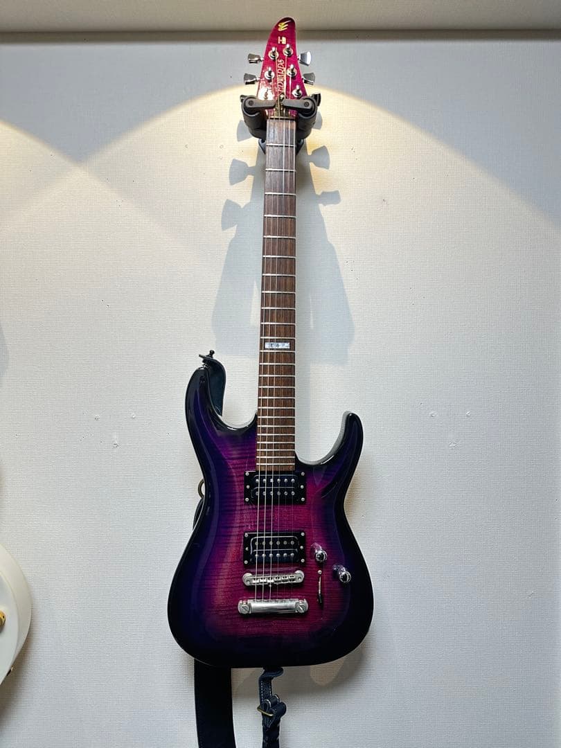 Edwards/Horizon Custom Classic Mod(日本製)