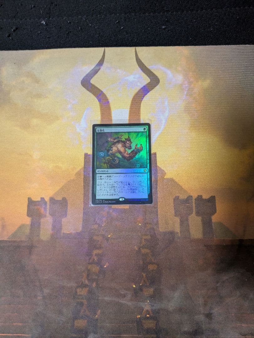 Magic: The Gathering トレーディングカード 資産フルセット