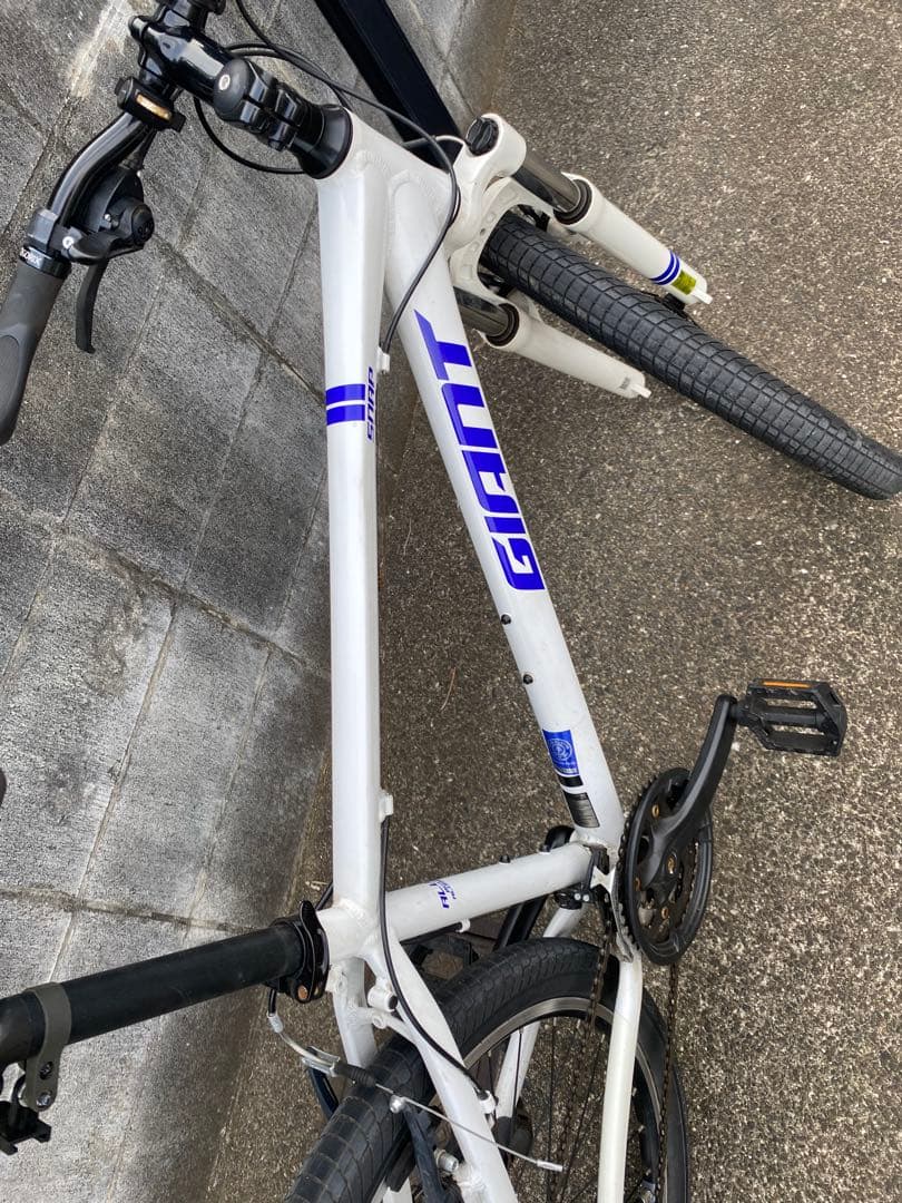 Rojan Rajthala　giant SNAP2022年白マウンテン