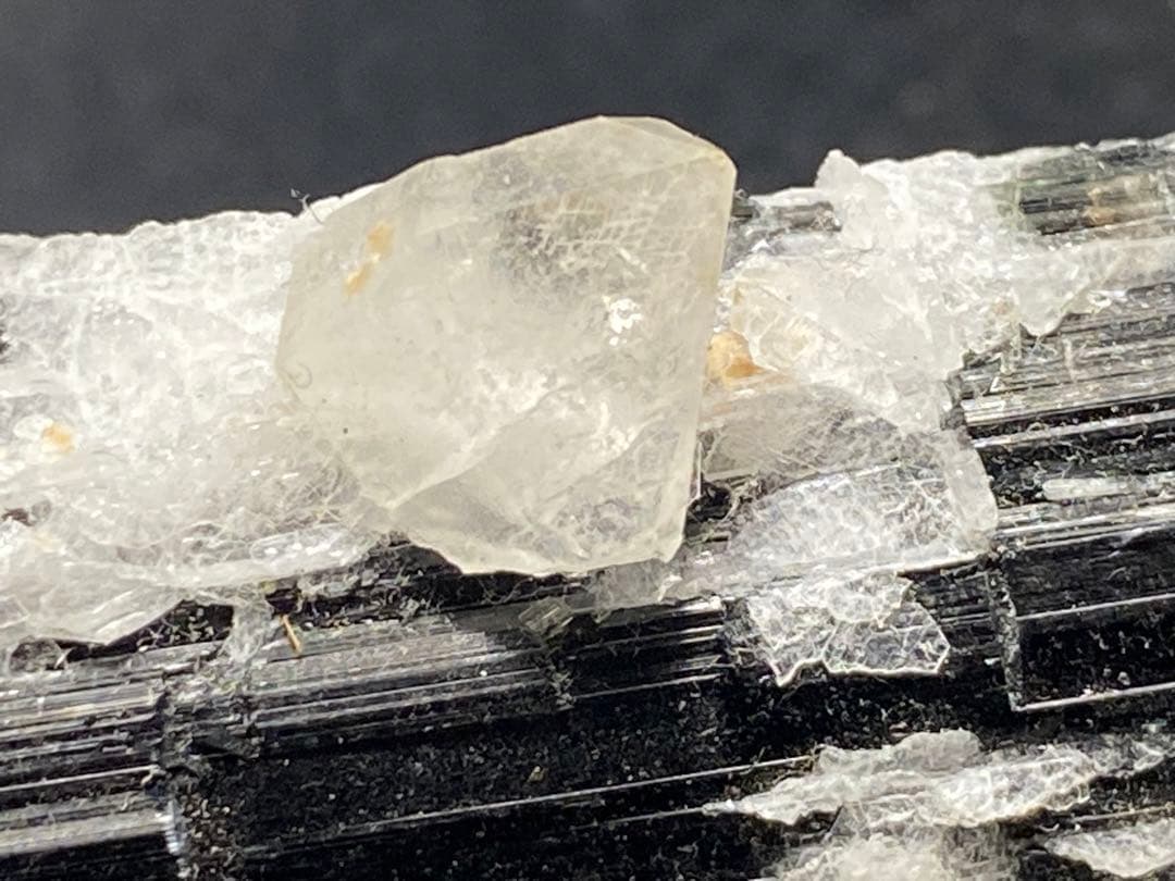 ブラックトルマリン　水晶　共生　52.6g