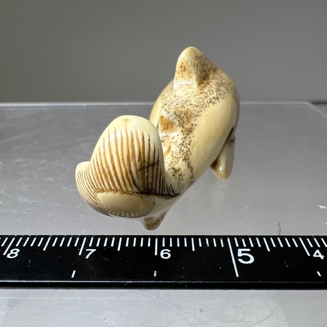 極上シャチ根付　15g 東Y8-0203☆2Fトヒサ