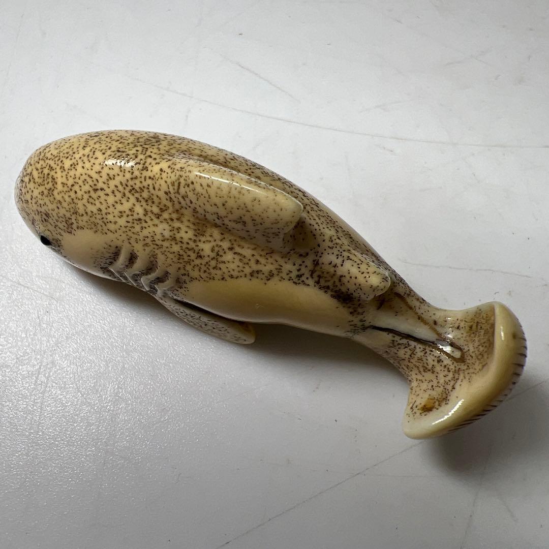 極上シャチ根付　15g 東Y8-0203☆2Fトヒサ