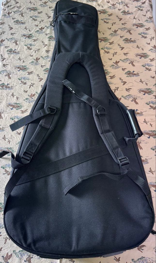 【超美品】PRS S2 Custom 24 ギター