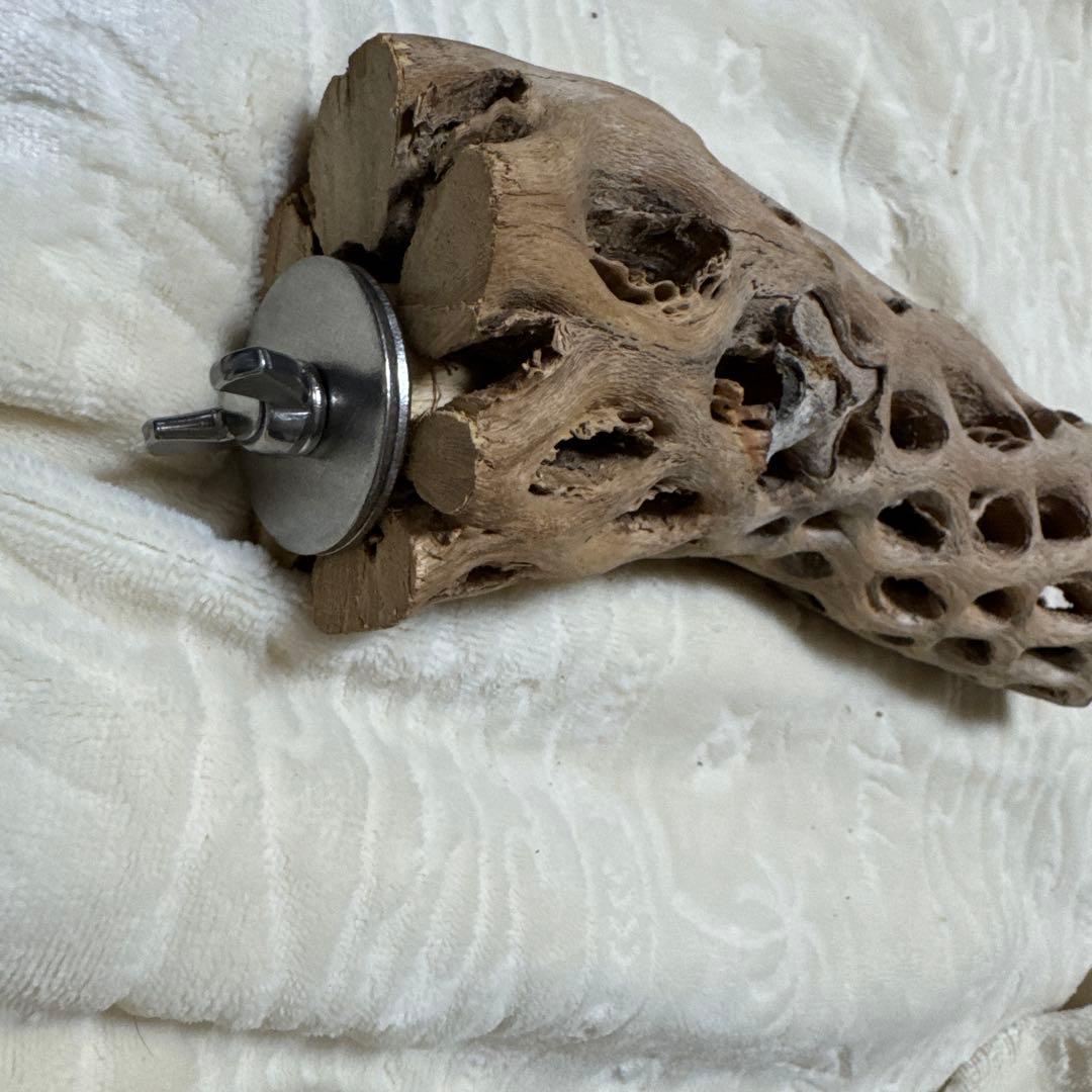 大型インコ　オウム用　カクタスパーチ　手作り