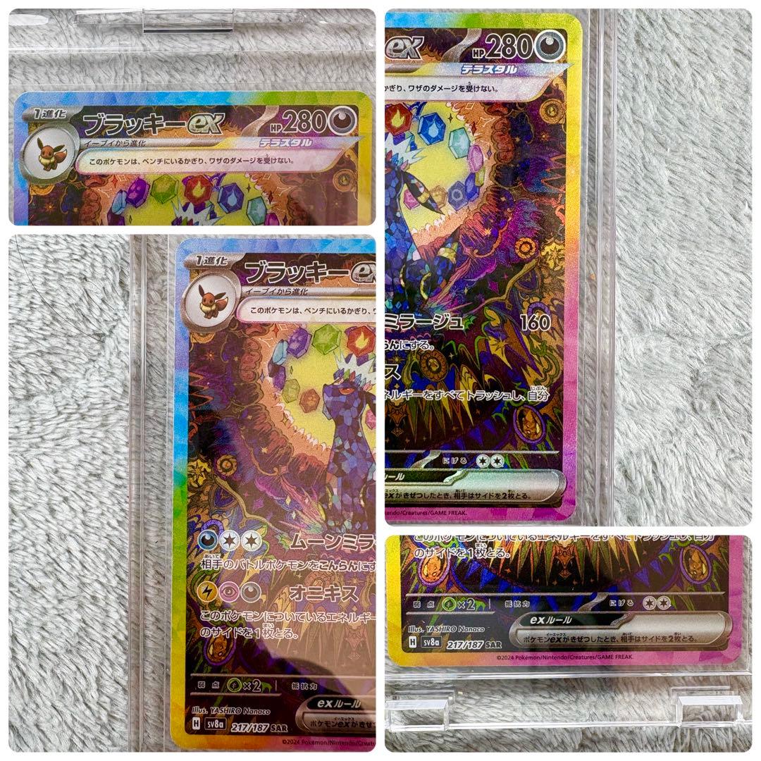 【極美品】ブラッキーex SAR テラスタルフェスex