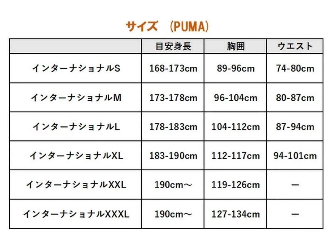 【極美品】PUMA　ドルトムント　トレーニングウェア4点セット