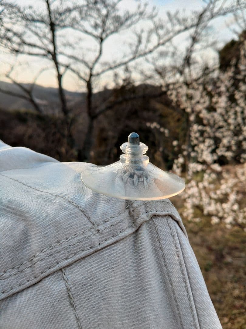 RANDSTAD ランドスタッド ヴィンテージテント dewward