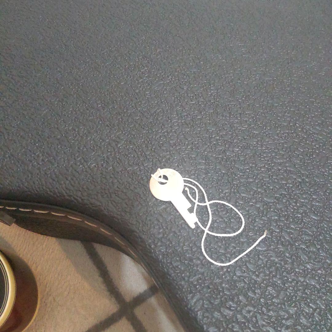 Epiphone Sheraton II Gibsonエレキギター