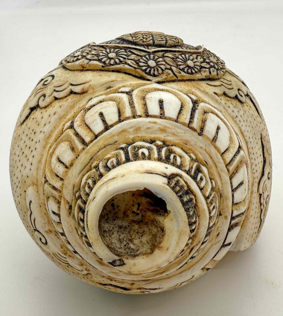 ◆チベット密教法具　法螺貝（シャンカ）・ヴィルーパ