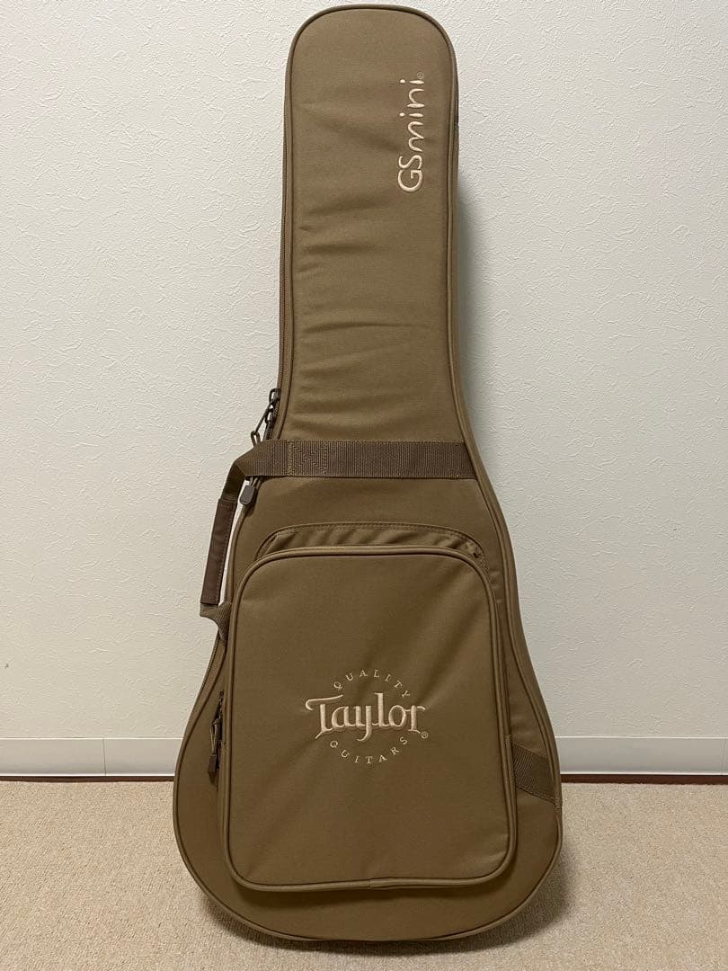 【2024/4月購入】Taylor GS Mini Rosewood