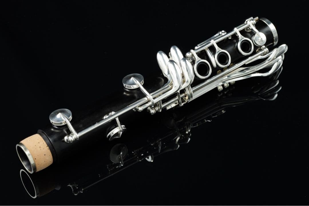 【美品 メンテナンス済】　SELMER Signature B♭ クラリネット