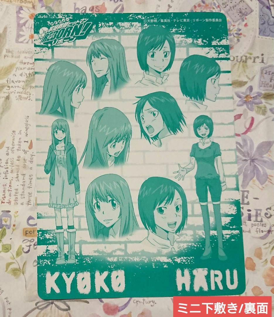 笹川京子＆三浦ハル セット　家庭教師ヒットマンREBORN