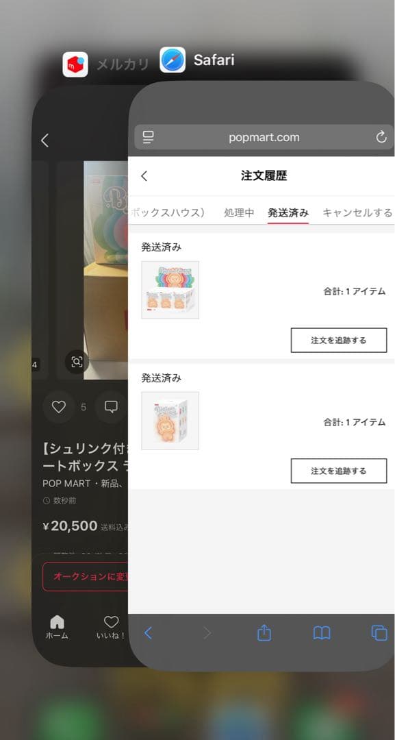 【シュリンク付き】Big into Energy 1アソートボックス ラブブ