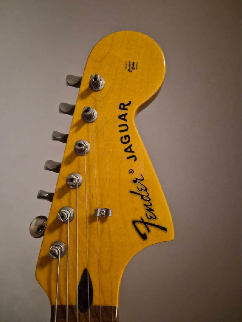 カクレクマノミ　Fender Jaguar Special