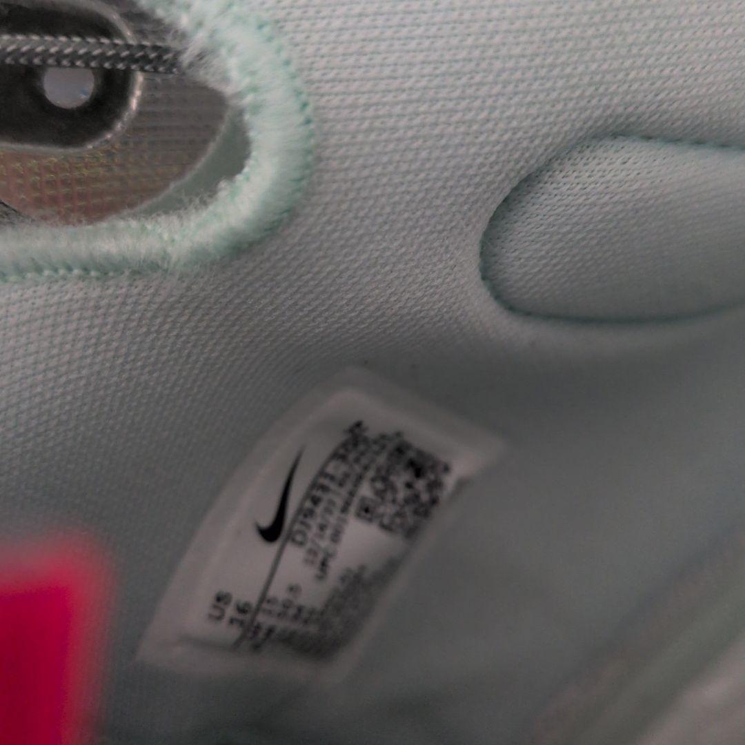 川崎ブレイブサンダース☆ニック・ファジーカス選手サイン入NIKEバッシュ34cm