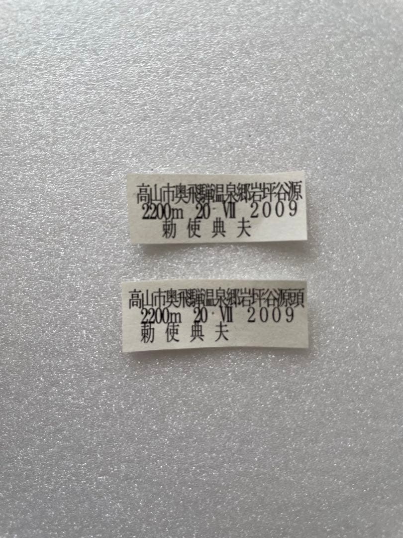 【ペア】アルプスモンキチョウ（岐阜県産）