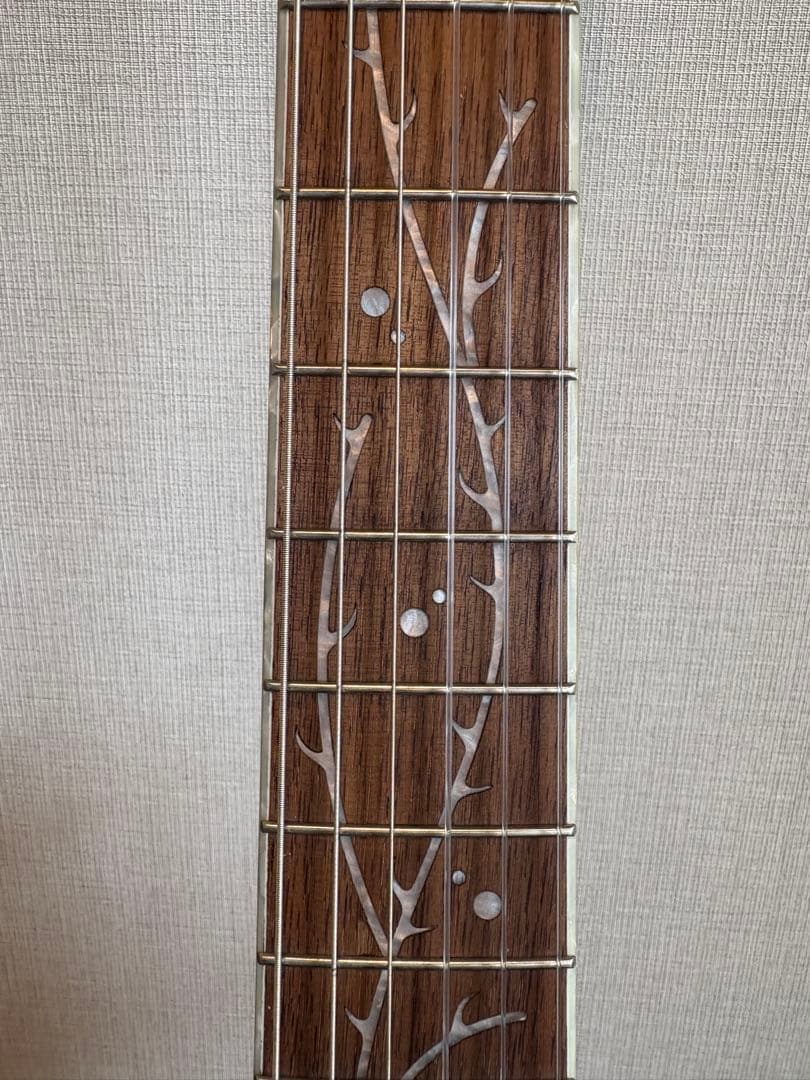 ギター IBANEZ TOD10N-TKF Tim Henson Signature