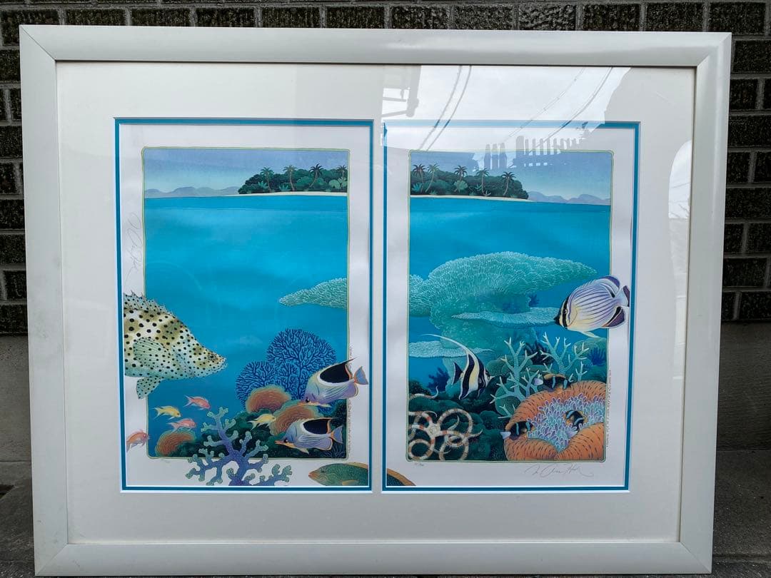 ジョアンフック　サンゴ礁の熱帯魚　285/900