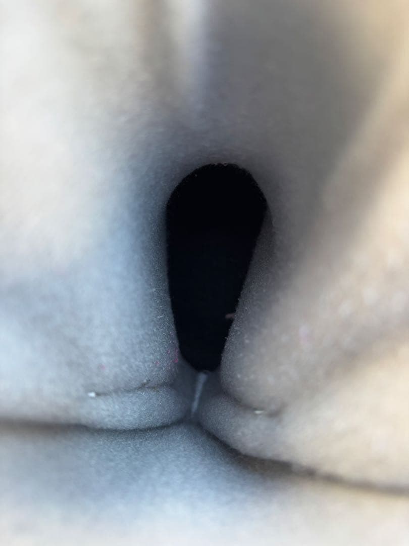 elan エラン ジュニアスキー130cm 4点セット ブーツ23cmポール付き