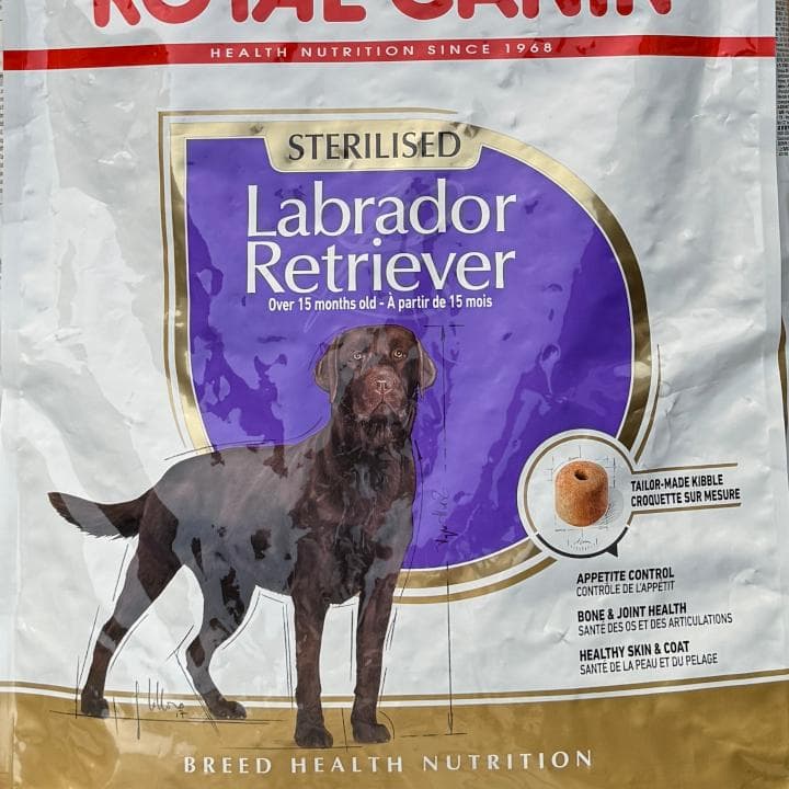 ◎bowwowページ◎