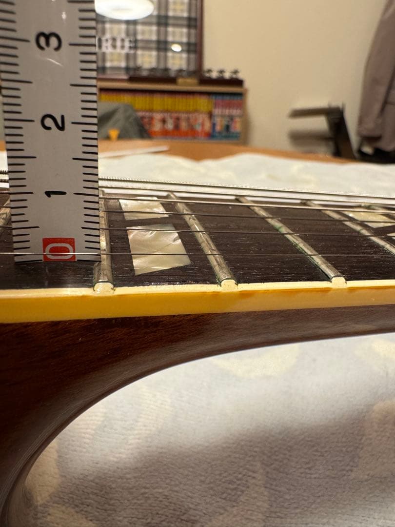 オービル　バイギブソン E-175