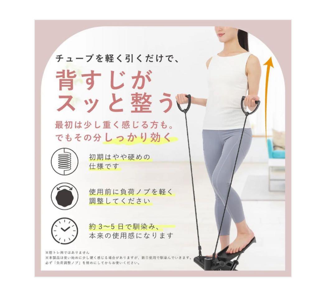 #2909　ステップマシンピンク ピンク .グレーブルー.ブラックステッパー