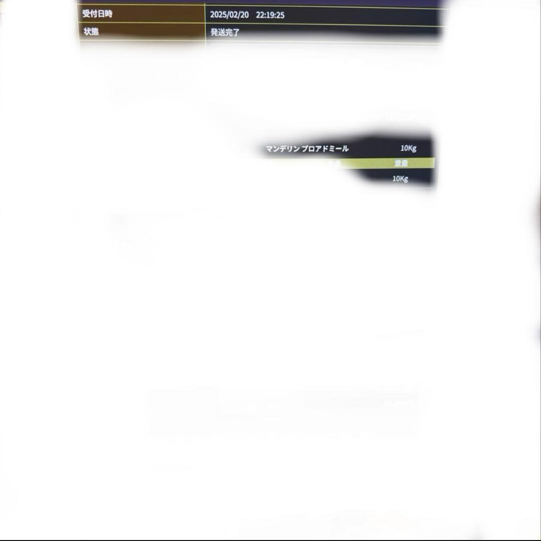 値下げOK 生豆 マンデリン プロアドミール 10kg コーヒー 珈琲生豆
