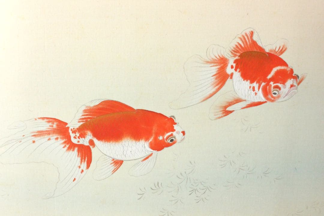 No4943 額装　山本龍洞　遊金魚図　絹本着色　真作　日本画　古美術　送料無料