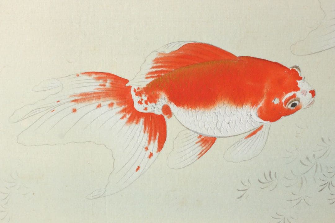 No4943 額装　山本龍洞　遊金魚図　絹本着色　真作　日本画　古美術　送料無料