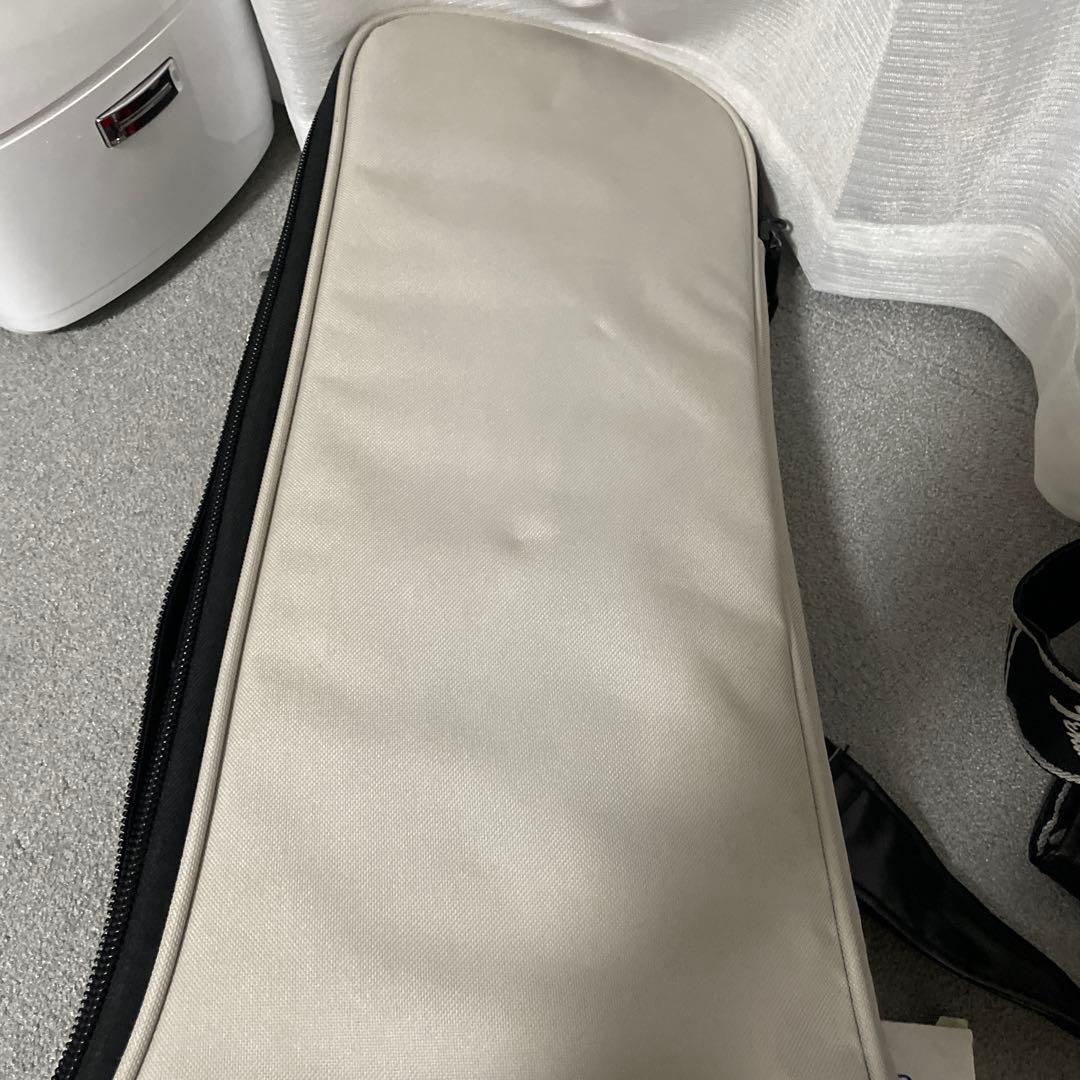 Paul Reed Smith (ポールリードスミス) エレキギター