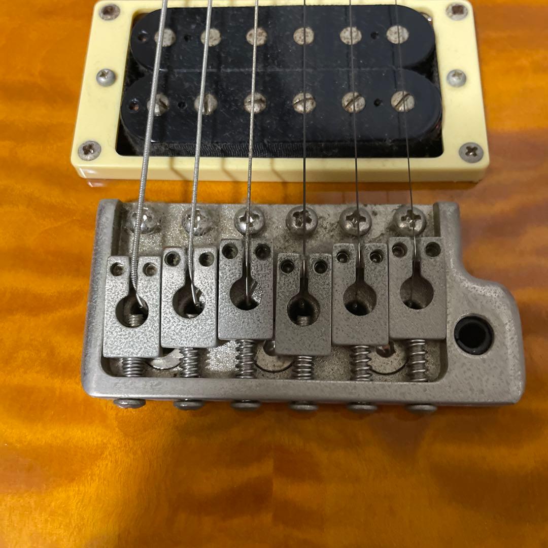 Paul Reed Smith (ポールリードスミス) エレキギター