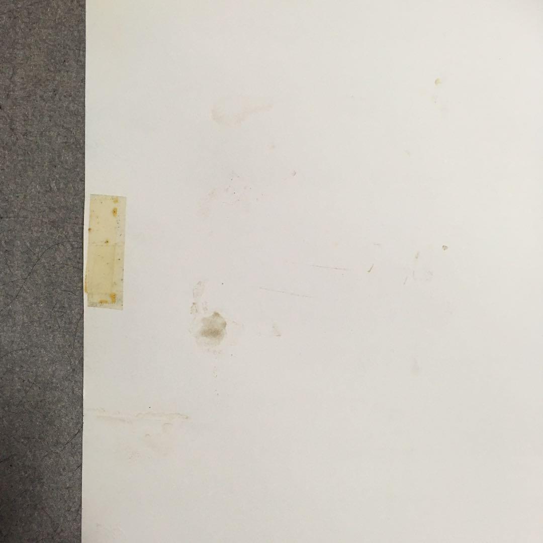 最終価格　超希少綾瀬はるか水着非売品特大ポスター