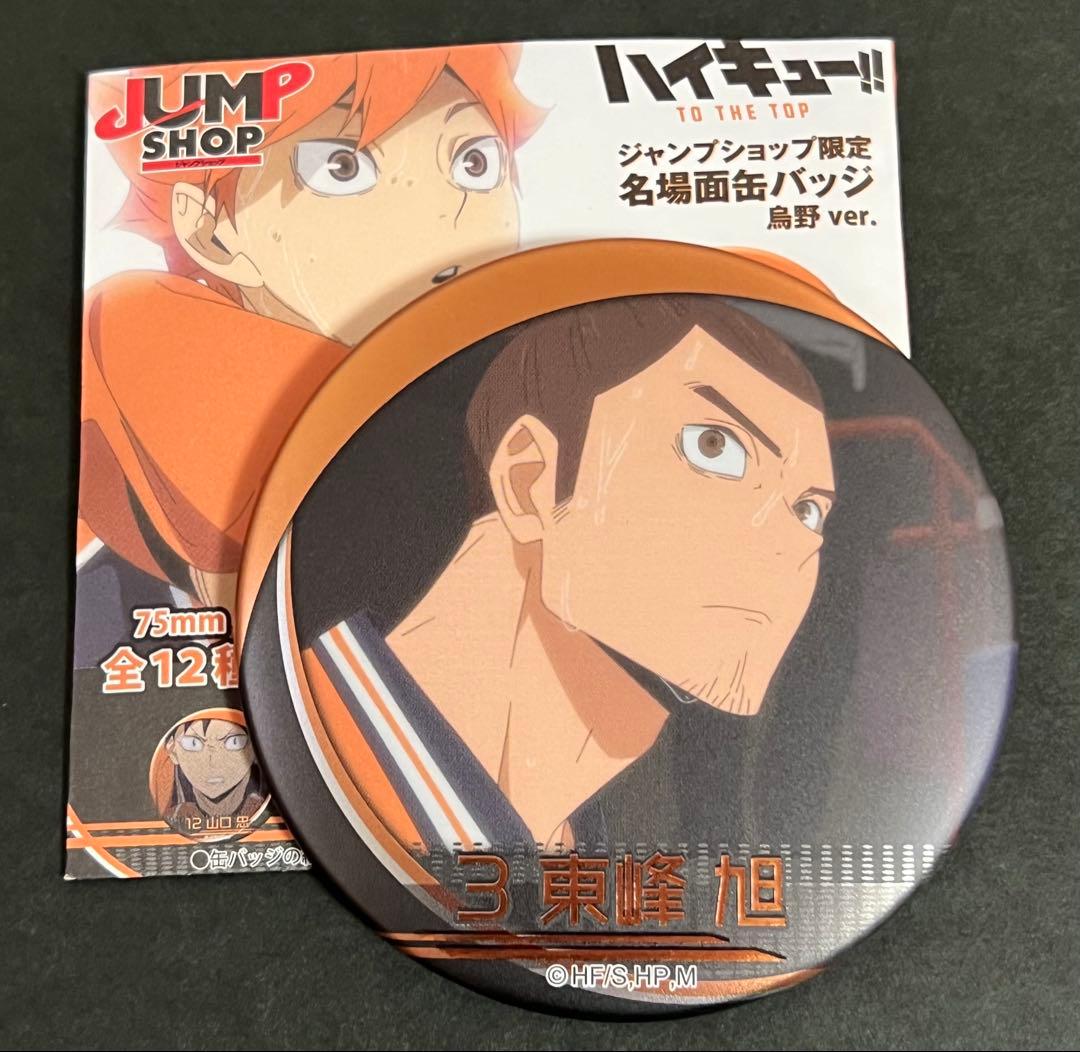 ハイキュー 名場面缶バッジ 烏野高校 日向 影山 菅原 月島 12種コンプリート