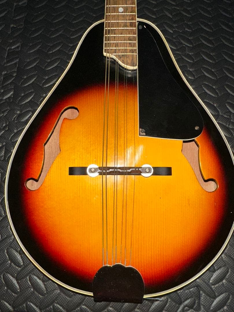 harmony mandolin フラットマンドリン 1970ビンテージ