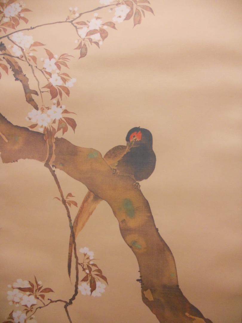 掛け軸 酒井抱一 『 桜花雉子図 』 絹本 名品 複製 希少 茶道具 掛軸 美品