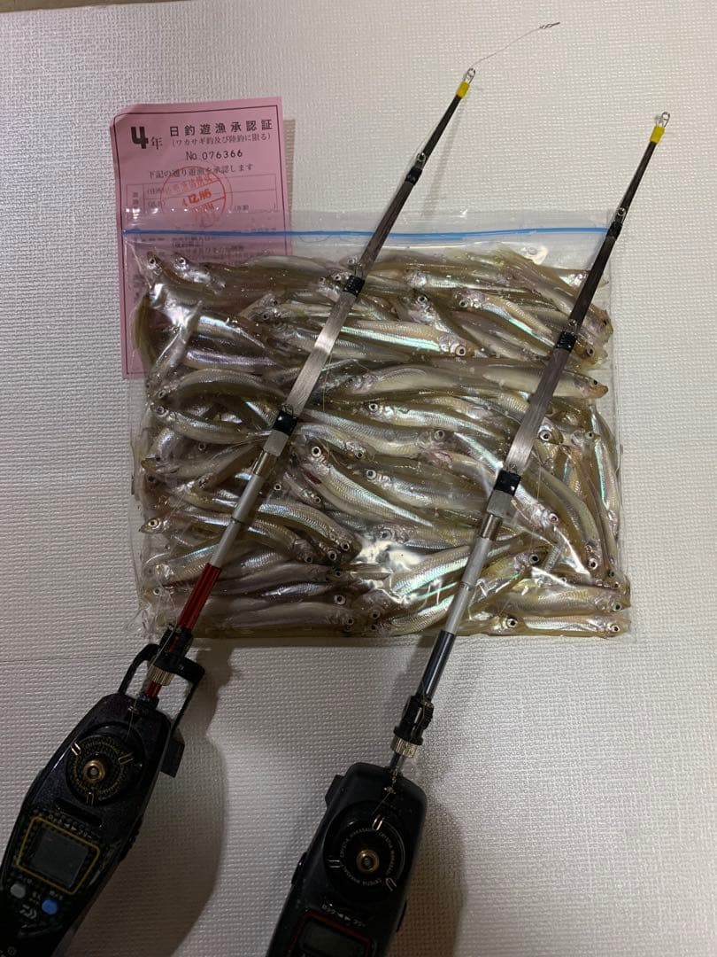 ワカサギステンレス穂先　　 255ミリ　　２本