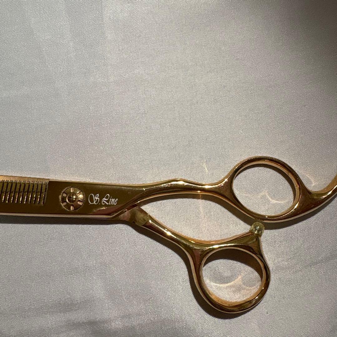 シルバーライン消しゴムスキバサミ