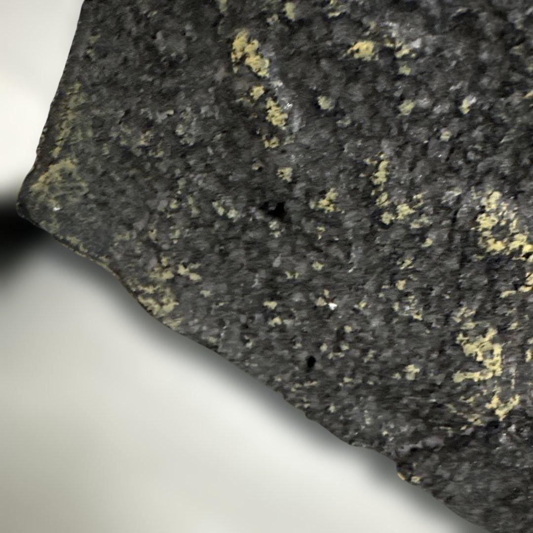 爬虫類ケージ GEX エキゾテラ グラステラリウム 3045 中型ケージ