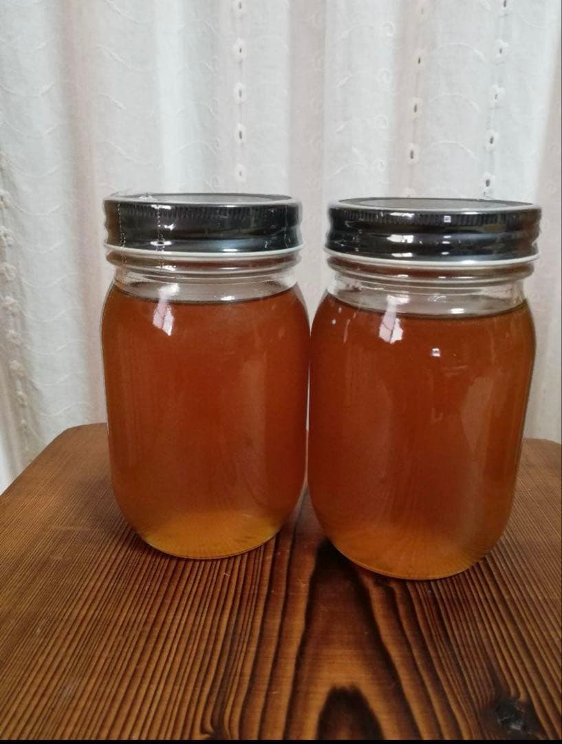 100%天然生ハチミツ　日本ミツバチの蜂蜜620g✖️２本