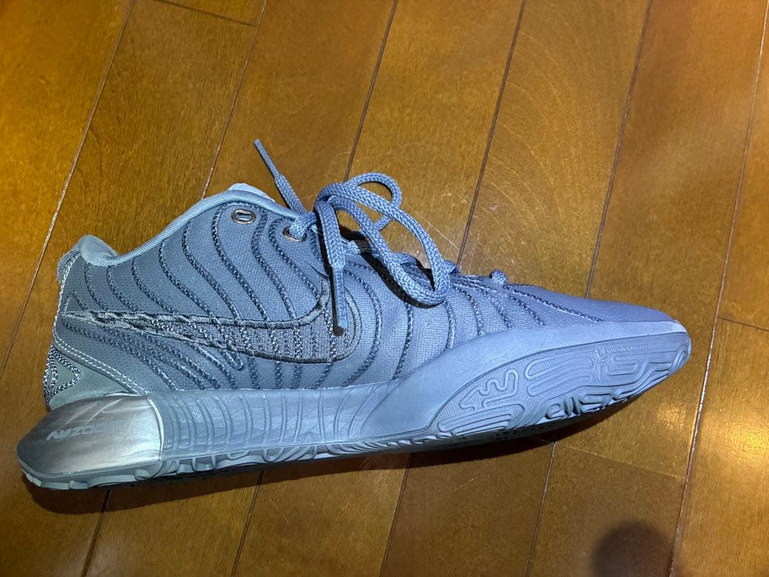 NIKE LEBRON XXI EP27cmナイキレブロン21EPクールグレー