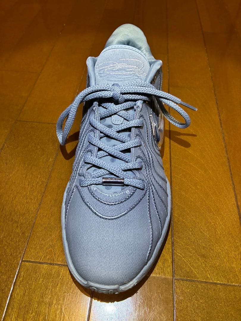 NIKE LEBRON XXI EP27cmナイキレブロン21EPクールグレー