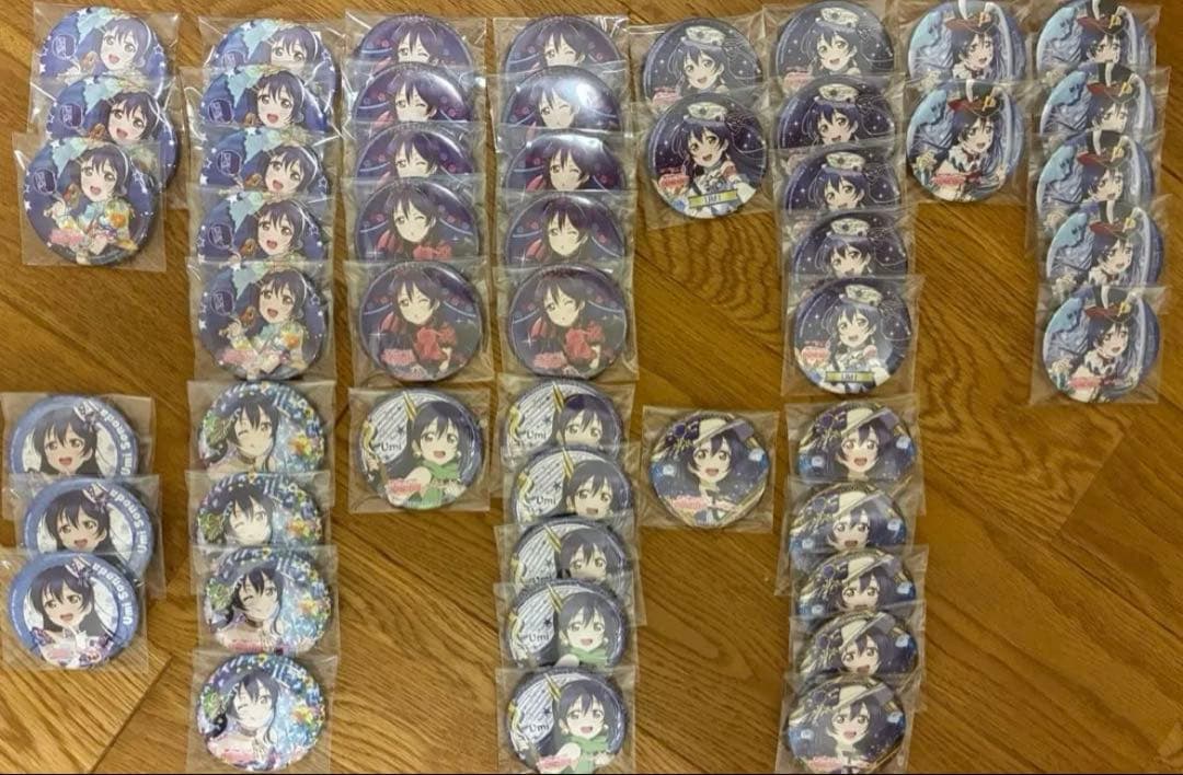 ラブライブ 園田海未 スク感 缶バッジ スクフェス感謝祭 μ's 52個セット