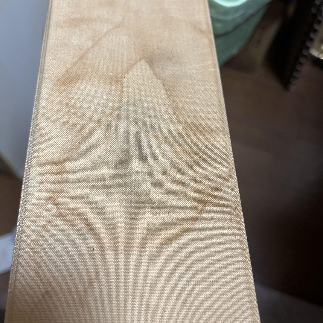 磯部晶子　朝の光　f6油絵