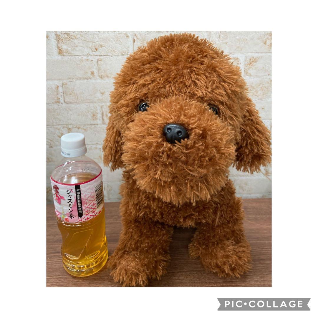 大きめ 子供の日 兜 五月人形 端午の節句 ハンドメイド 猫 犬 ハンドメイド