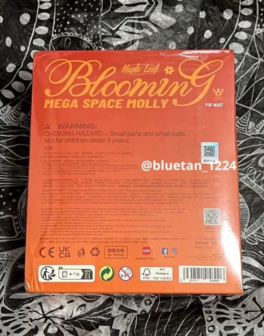 カナダ　MEGA SPACE MOLLY 100% Blooming