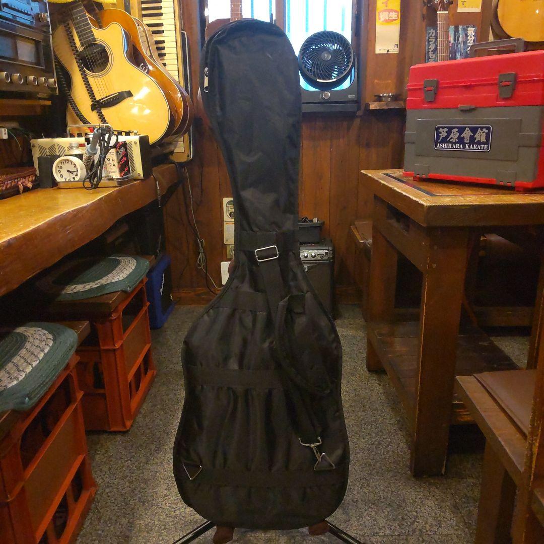 BACCHUS TELECASTER Type （管理サナ）