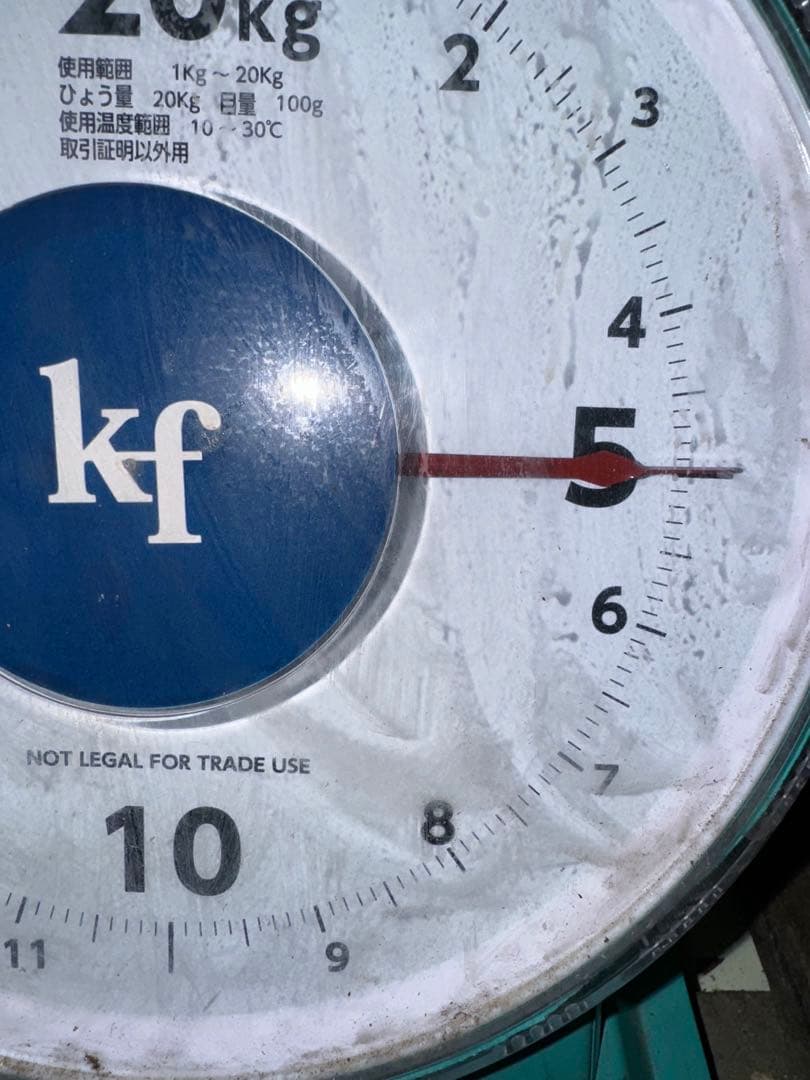 山梨県産ぶどう⭐️シャインマスカット⭐️家庭用完熟⭐️11房入り箱込み約5キロ